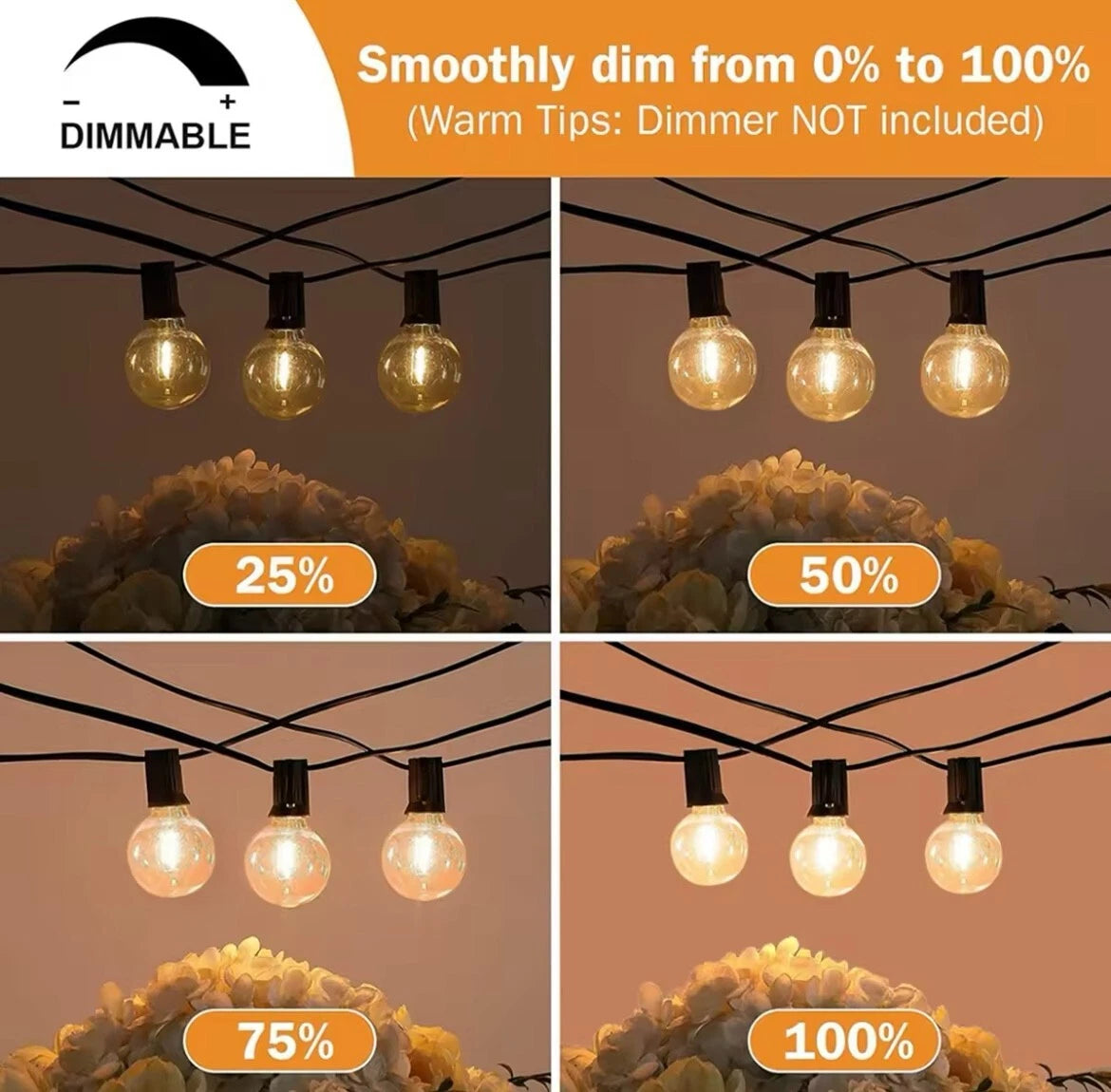 Outdoor Solar LED String Festoon Lights Complete With Remote Control - 10Bulb/20Bulb/25Bulb/35Bulb